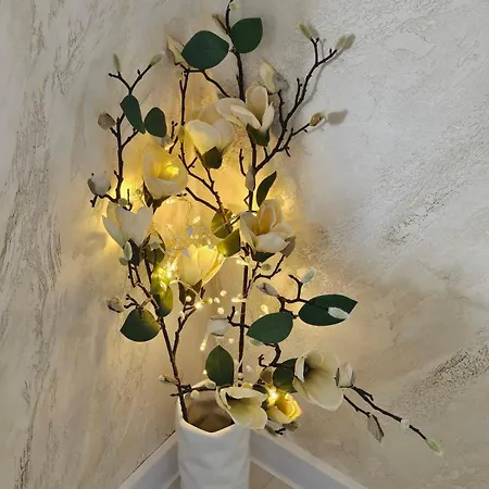 Apartment Home דירה *